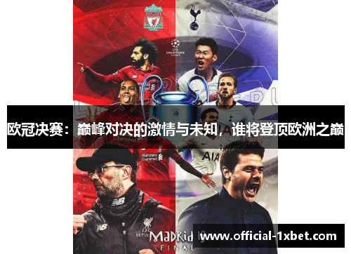 欧冠决赛：巅峰对决的激情与未知，谁将登顶欧洲之巅