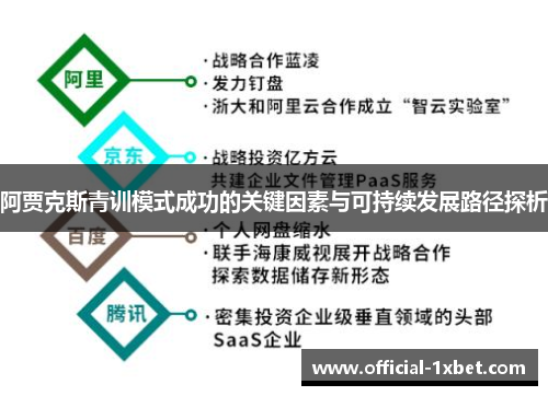 阿贾克斯青训模式成功的关键因素与可持续发展路径探析