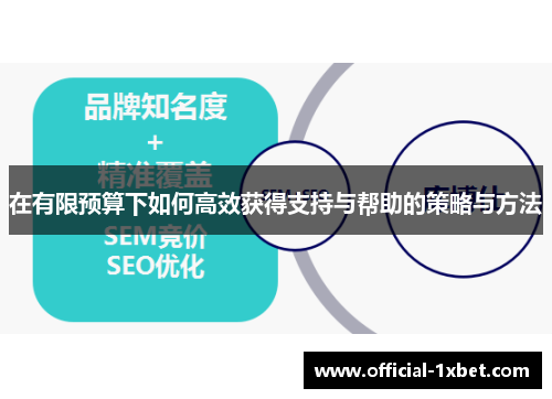 在有限预算下如何高效获得支持与帮助的策略与方法
