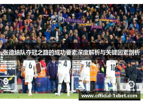 张德培队夺冠之路的成功要素深度解析与关键因素剖析