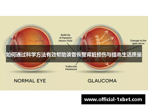 如何通过科学方法有效帮助波普恢复肾脏损伤与提高生活质量