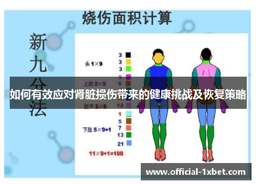 如何有效应对肾脏损伤带来的健康挑战及恢复策略